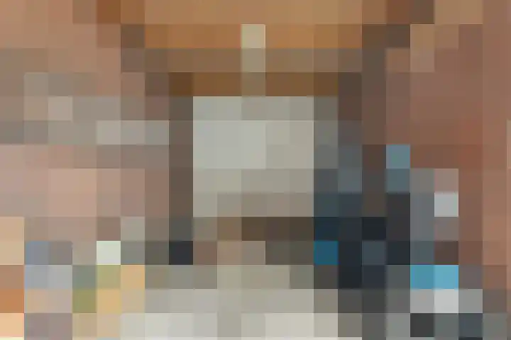 Reidikker 44 Ryptsjerk thumbnail 40