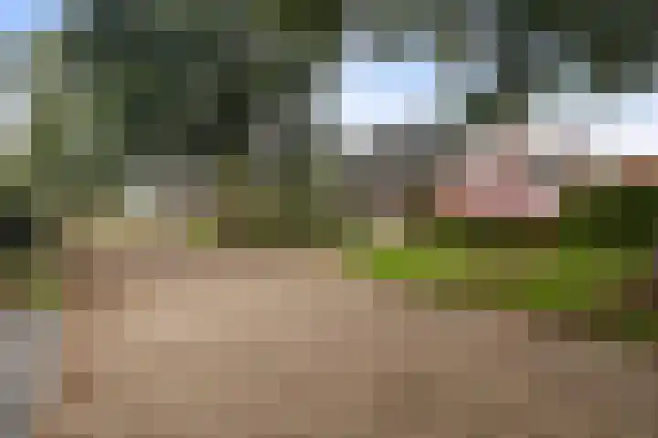 Reidikker 44 Ryptsjerk thumbnail 43