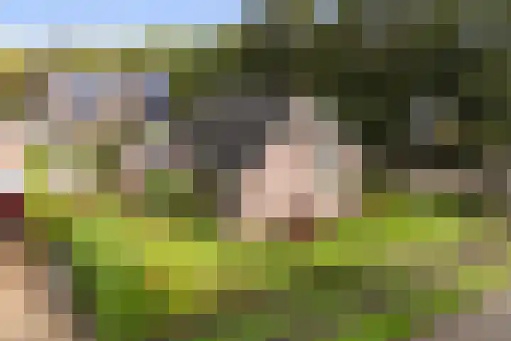 Reidikker 44 Ryptsjerk thumbnail 44