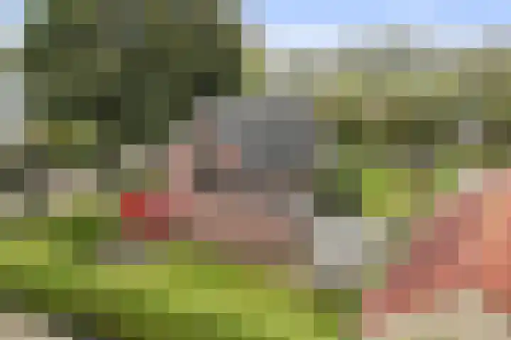 Reidikker 44 Ryptsjerk thumbnail 45