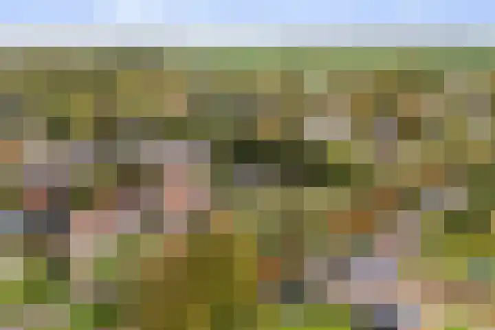 Reidikker 44 Ryptsjerk thumbnail 48