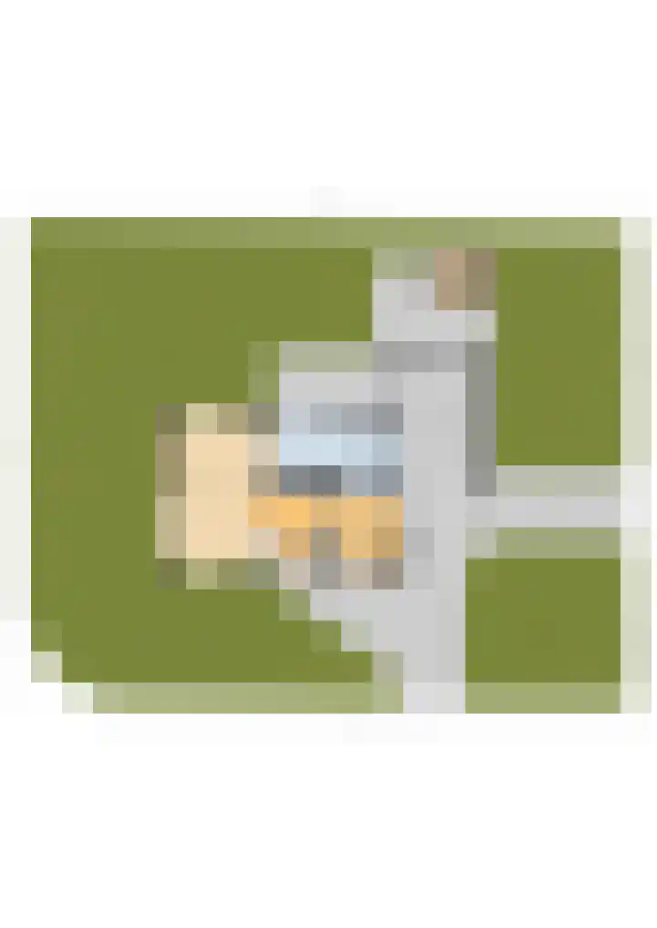 Reidikker 44 Ryptsjerk thumbnail 56