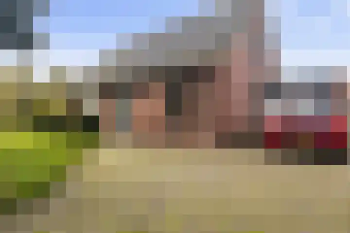 Reidikker 44 Ryptsjerk thumbnail 6