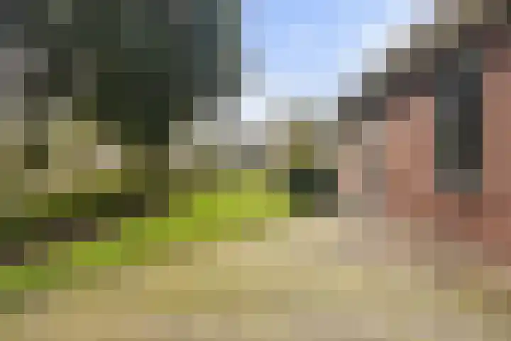 Reidikker 44 Ryptsjerk thumbnail 7