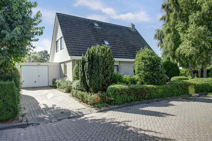 Reidikkers 2 in Workum foto