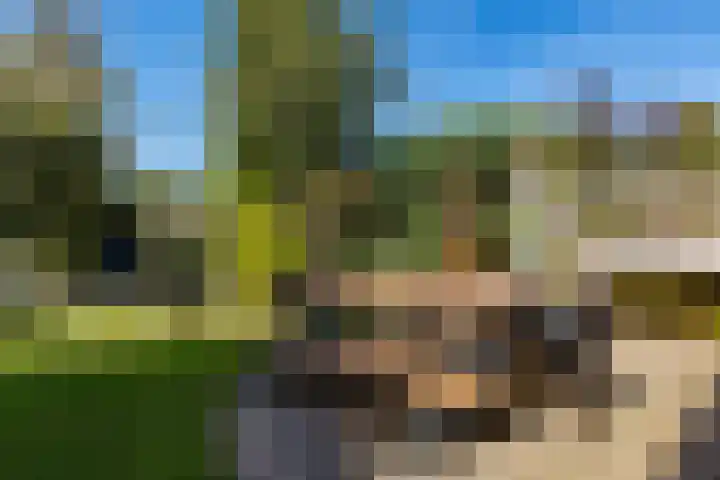 Reidkraach 8 Oudehaske thumbnail 12