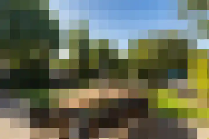 Reidkraach 8 Oudehaske thumbnail 13