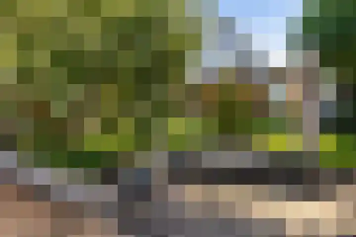 Reidkraach 8 Oudehaske thumbnail 15