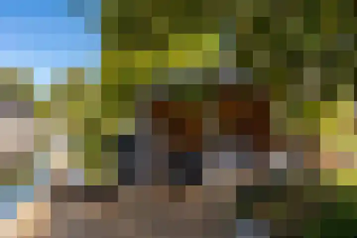 Reidkraach 8 Oudehaske thumbnail 16