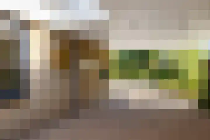 Reidkraach 8 Oudehaske thumbnail 18