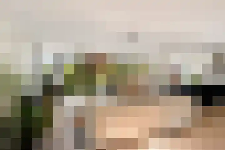 Reidkraach 8 Oudehaske thumbnail 25