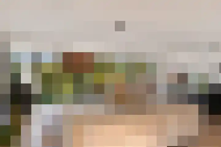 Reidkraach 8 Oudehaske thumbnail 26