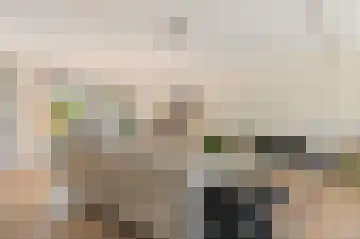 Reidkraach 8 Oudehaske thumbnail 27