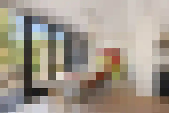 Reidkraach 8 Oudehaske thumbnail 28