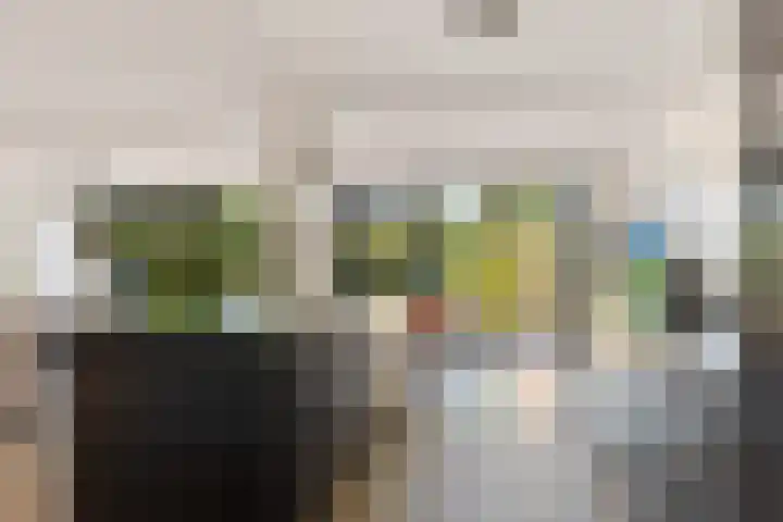 Reidkraach 8 Oudehaske thumbnail 30
