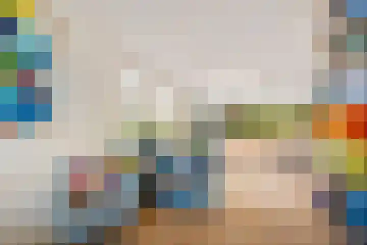 Reidkraach 8 Oudehaske thumbnail 36