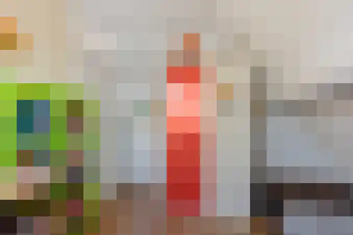 Reidkraach 8 Oudehaske thumbnail 45