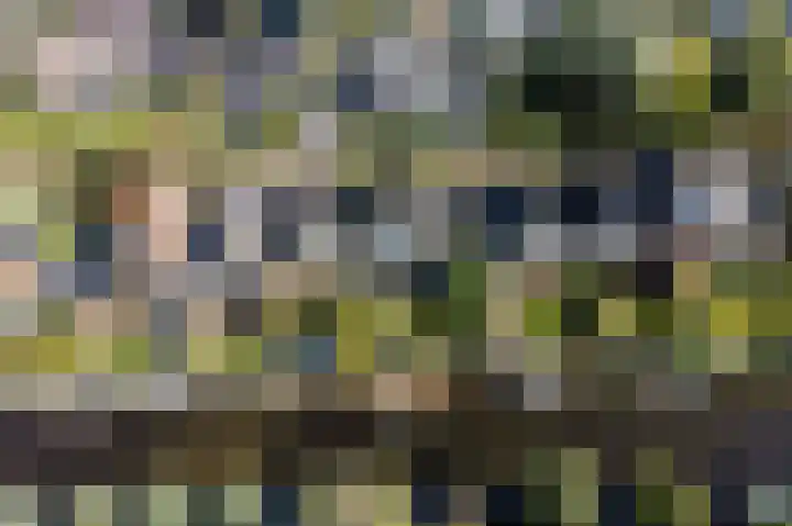 Reidkraach 8 Oudehaske thumbnail 7