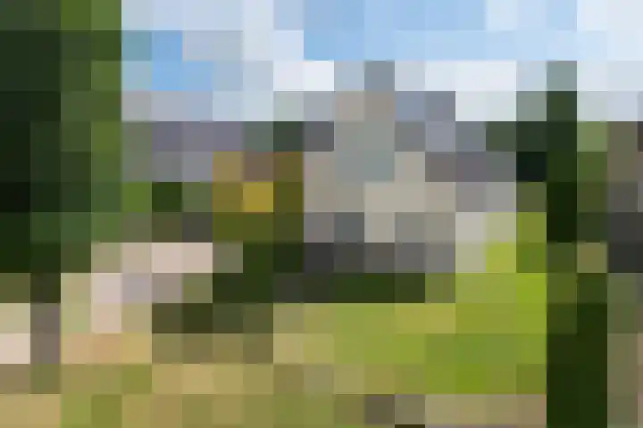 Reidlânswei 90 dans Hurdegaryp