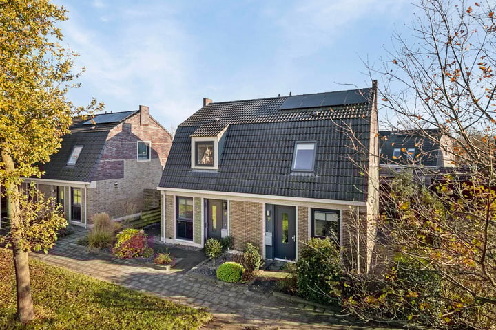 Reidmosk 1E in Hurdegaryp foto