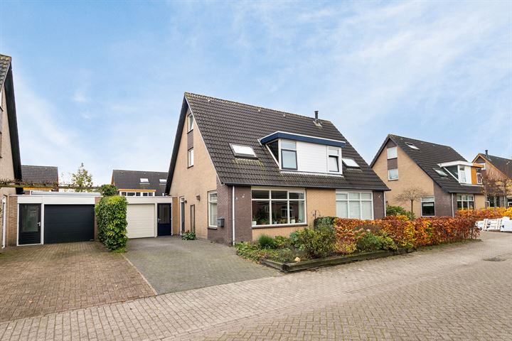 Reidmosk 9 in Hurdegaryp foto