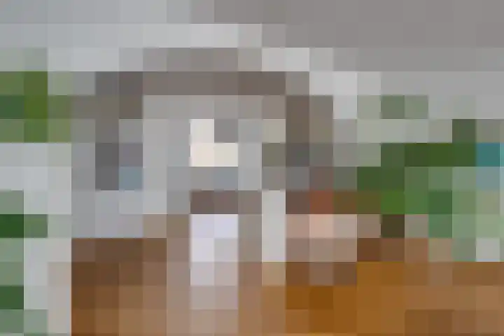 Reiendonk 18 Breda thumbnail 13
