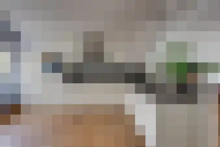 Reiendonk 18 Breda thumbnail 14