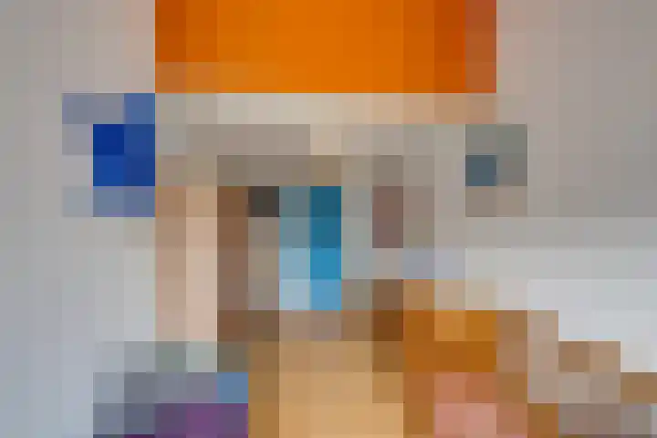 Reiendonk 18 Breda thumbnail 19