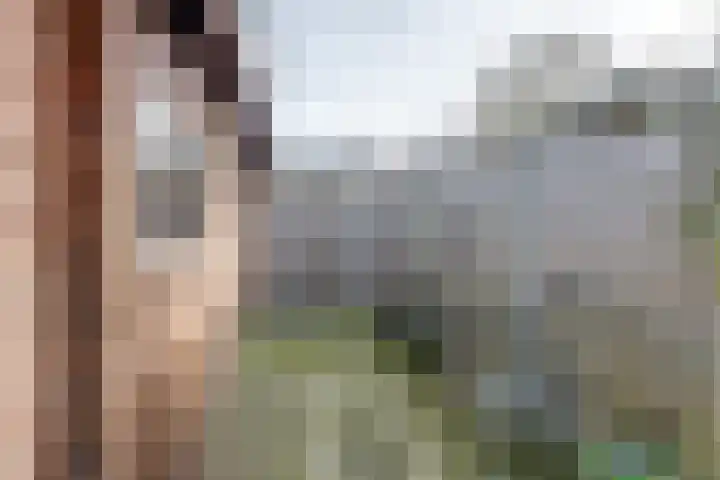 Reiendonk 18 Breda thumbnail 31