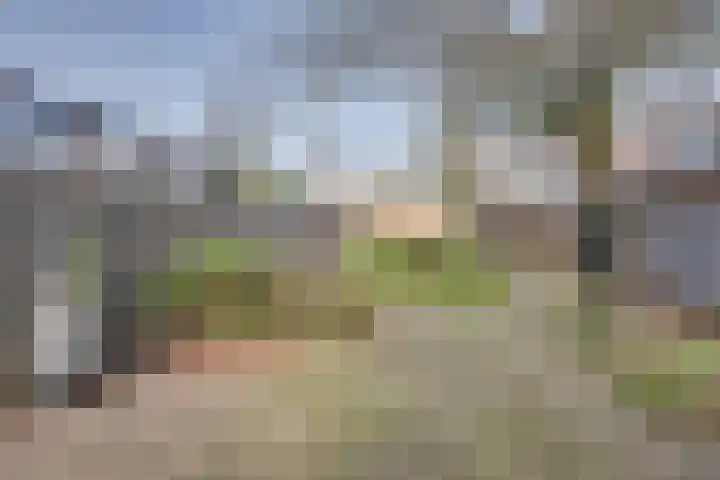 Reiendonk 18 Breda thumbnail 33