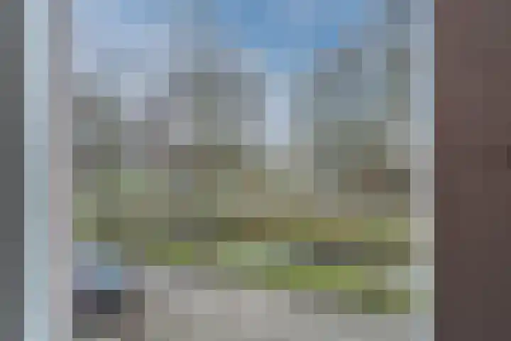 Reiger 104 Hoorn thumbnail 20