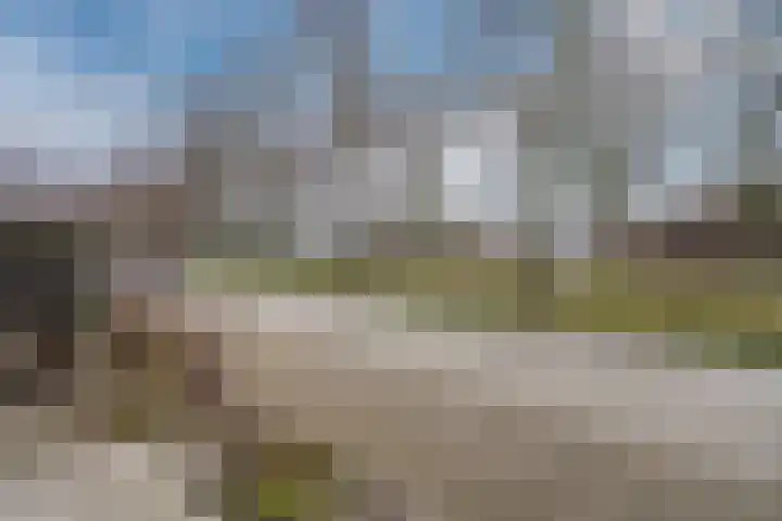 Reiger 104 Hoorn thumbnail 26