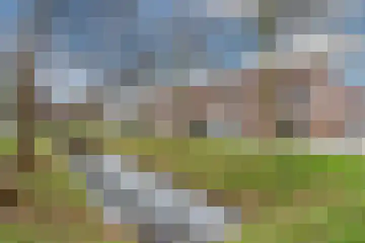 Reiger 104 Hoorn thumbnail 4