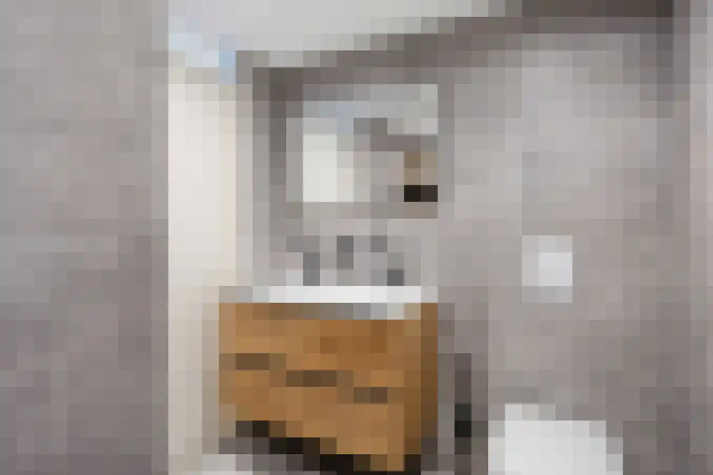 Reiger 11 Bedum thumbnail 34