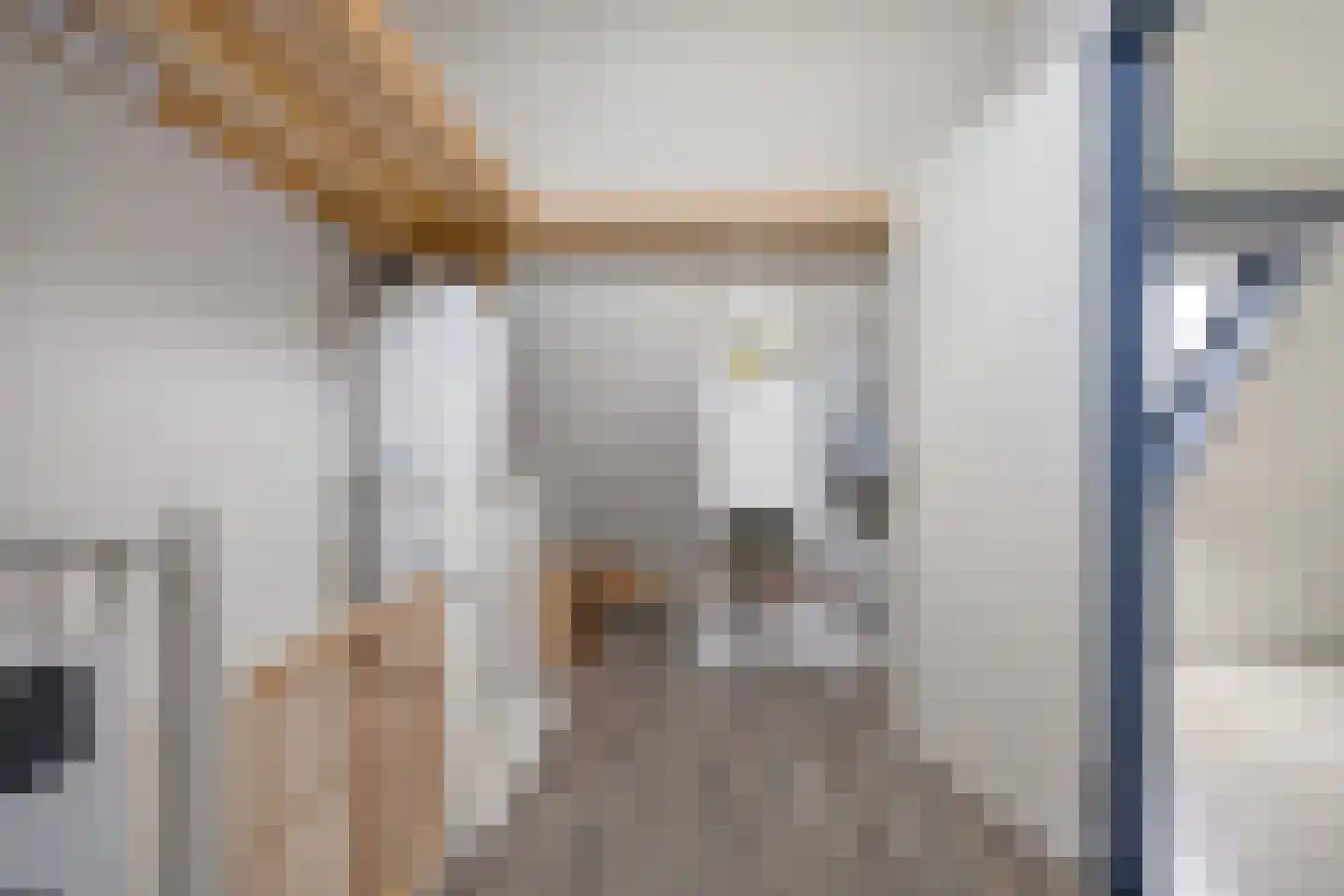 Reiger 11 Bedum thumbnail 35