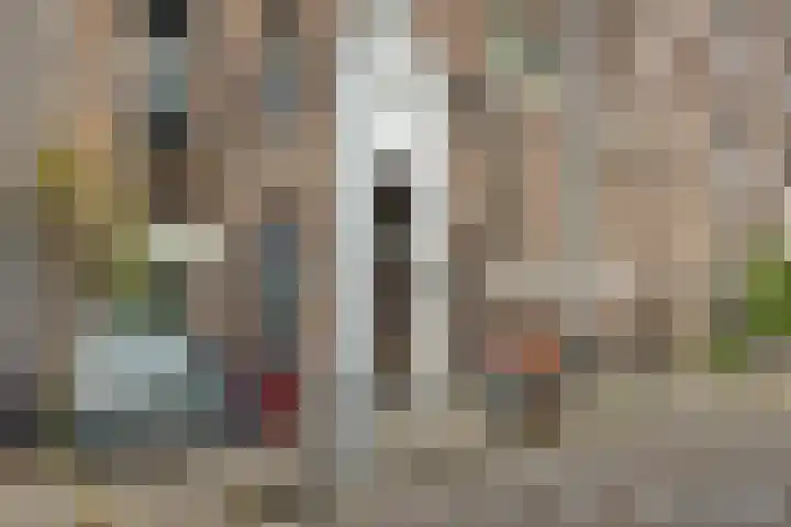 Reiger 11 Bedum thumbnail 5