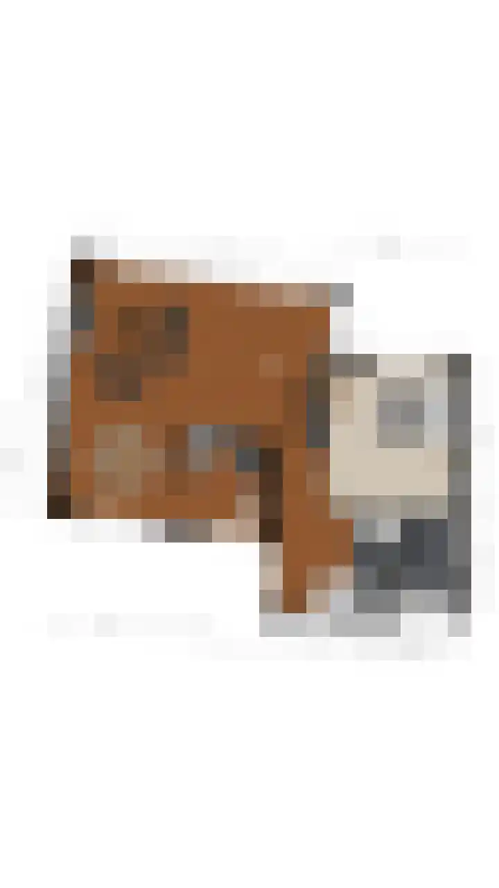 Reiger 11 Bedum thumbnail 9
