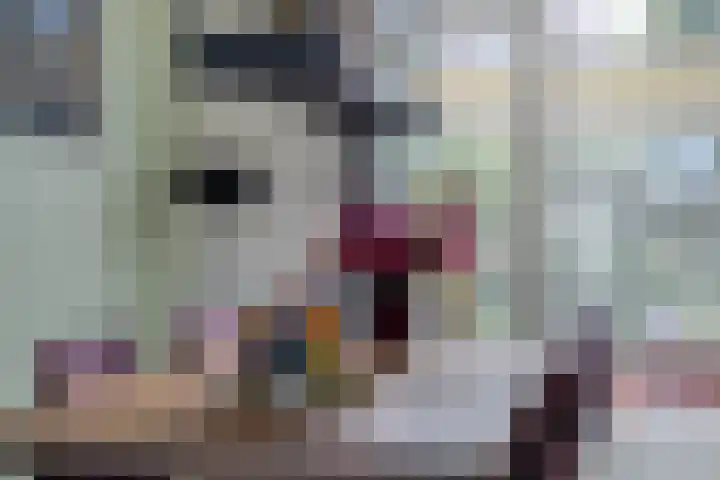 Reiger 12 Bedum thumbnail 17