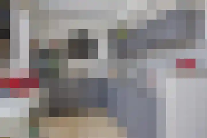 Reiger 12 Bedum thumbnail 20