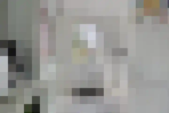 Reiger 12 Bedum thumbnail 24