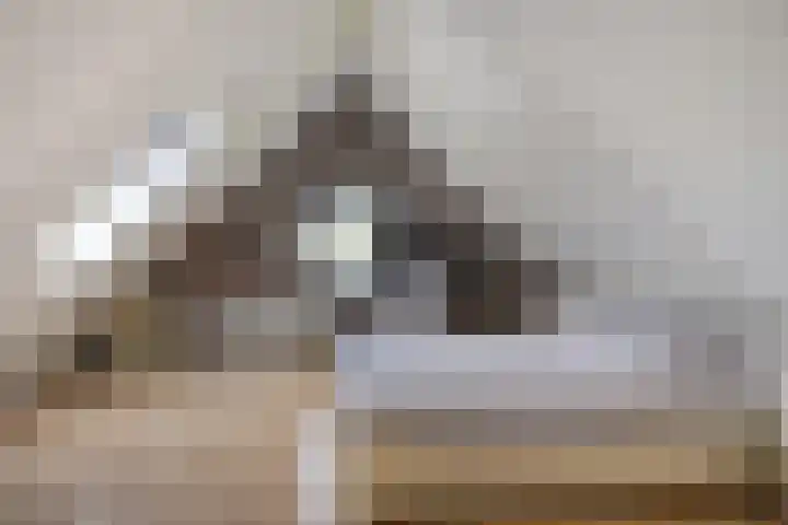 Reiger 12 Bedum thumbnail 37