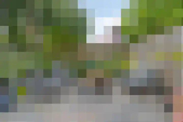 Reiger 12 Bedum thumbnail 43