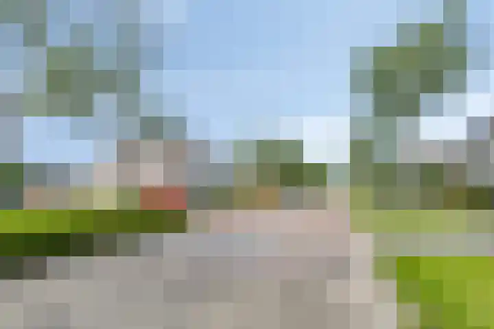Reiger 12 Bedum thumbnail 47