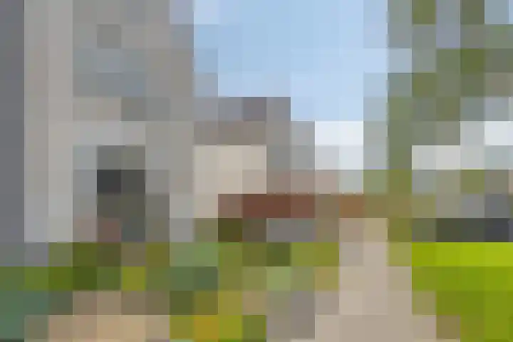 Reiger 12 Bedum thumbnail 48