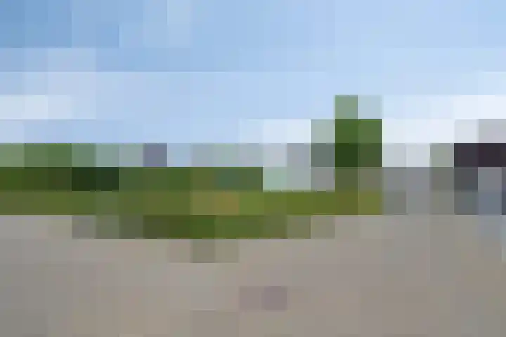 Reiger 12 Bedum thumbnail 50