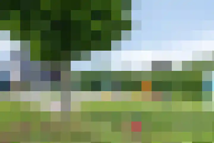 Reiger 12 Bedum thumbnail 51