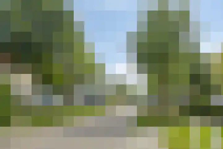 Reiger 12 Bedum thumbnail 54