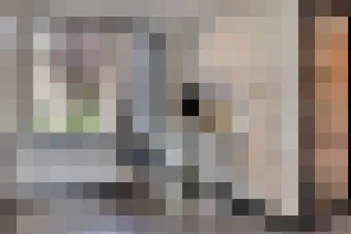 Reiger 19 Harmelen thumbnail 25