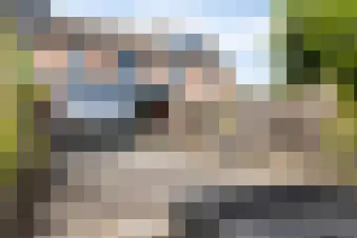 Reiger 19 Harmelen thumbnail 37