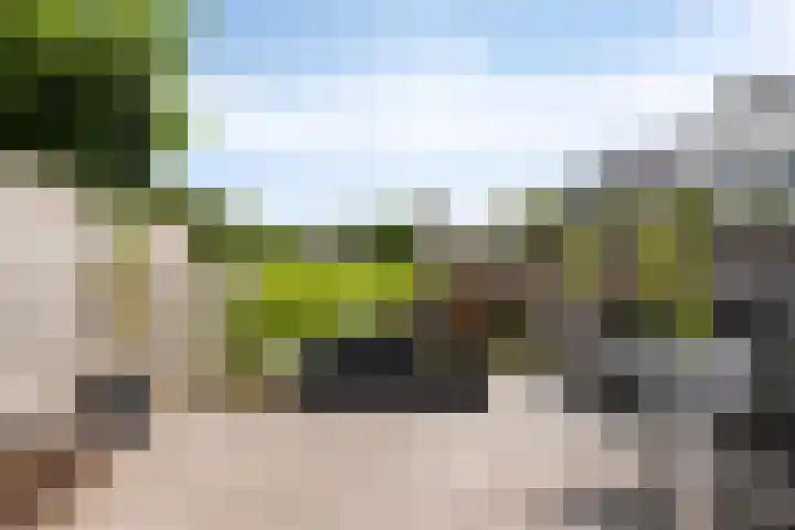 Reiger 19 Harmelen thumbnail 38
